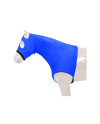CAPPUCCIO LYCRA