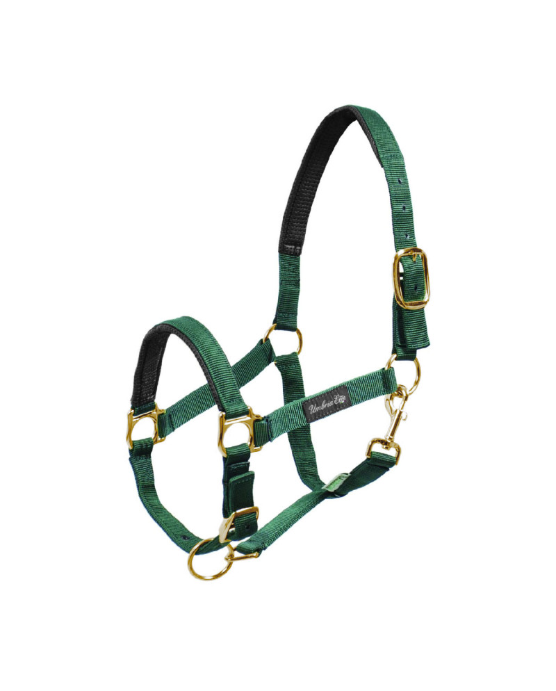 CAVEZZA NYLON RINFORZO NEOPRENE