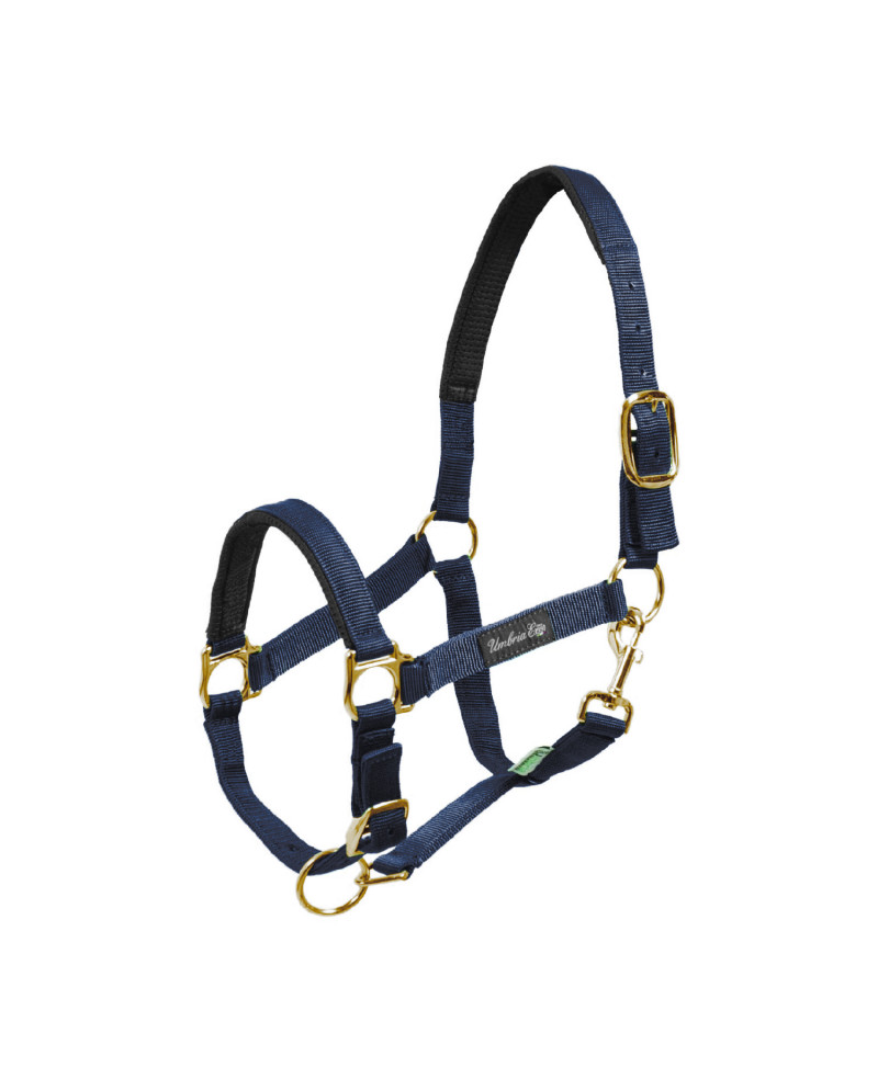 CAVEZZA NYLON RINFORZO NEOPRENE