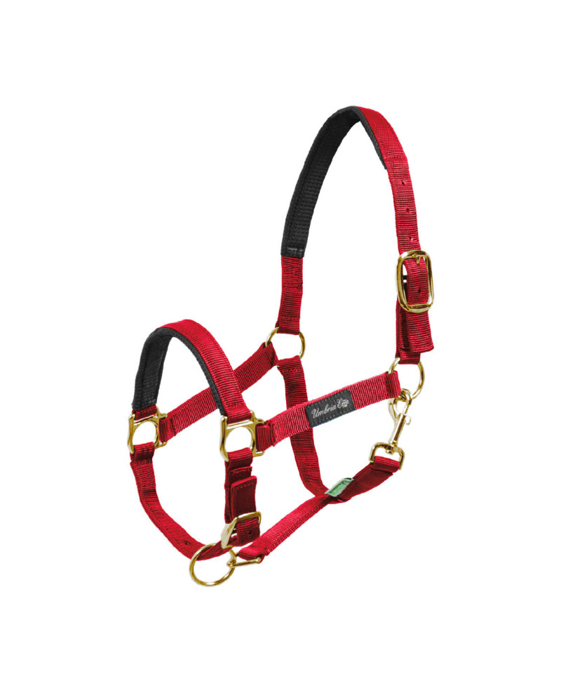 CAVEZZA NYLON RINFORZO NEOPRENE