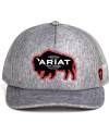 CAPPELLINO ARIAT GRIGIO