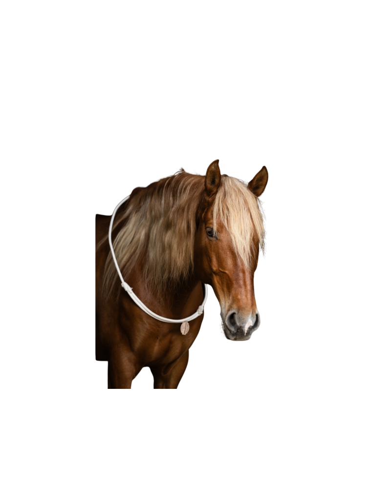 NECK RINGS REGOLABILE