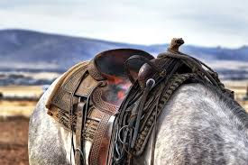 Monta Western